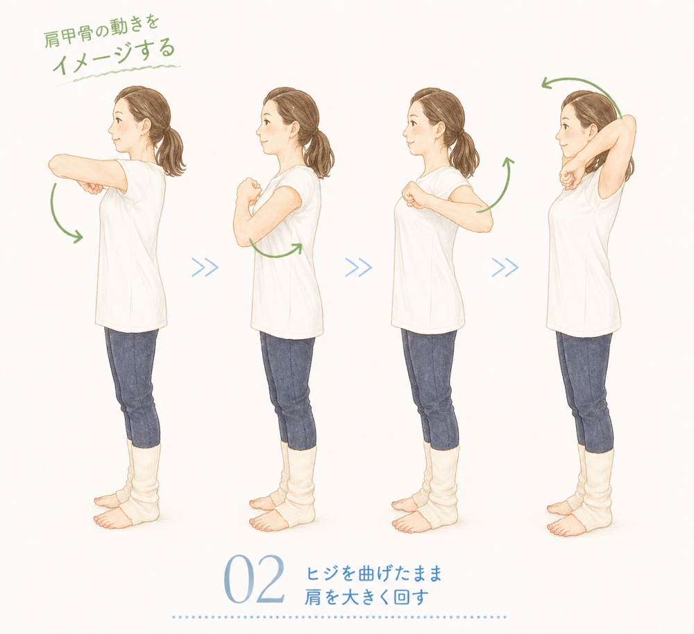②ヒジを曲げたまま肩を大きく回す・肩甲骨の動きをイメージする
