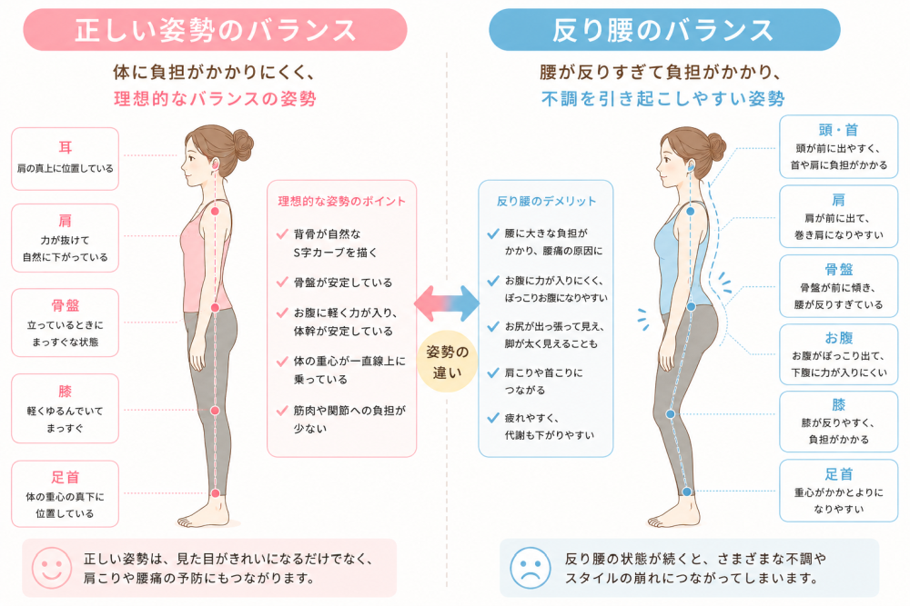 ★いい腰のバランス体に負担がかかりにくく、理想的なバランスの姿勢・耳…肩の 真上に位置している・肩…力が抜けて自然に下がっている・骨盤…立っている時にまっすぐな状態・膝…軽くゆるんでまっすぐ・足首…体の重心の真下に位置している●理想的な姿勢のポイント・背骨が自然なS字カーブを描く・骨盤が安定している・お腹に軽く力が入り体幹が安定・体の重心が一直線上に乗る・筋肉や関節への負担が少ない ※正しい姿勢は見た目が綺麗になるだけでなく肩こりは腰痛の予防にもなります。★反り腰のバランス腰が反りすぎて負担がかかり不調を引き起こしやすい姿勢・頭 、首…頭が前に出やすく 首や肩に負担・肩…肩が前に出て巻き方になりやすい・ 骨盤…骨盤が前に傾き 腰が反りすぎている・ お腹…お腹がぽっこり出て下腹に力が入りづらい・ 膝…膝が反りやすく 負担がかかる・ 足首…重心がかかとよりになる●反り腰のデメリット・ 腰に大きな負担がかかり腰痛の原因に・お腹に力が入りにくく、ぽっこりお腹に・ お尻が出っ張って見え足が太く見える・ 肩こりや首こりにつながる・ 疲れやすく 代謝も下がる※反り腰の状態が続くと様々な不調やスタイルの乱れにつながってしまいます