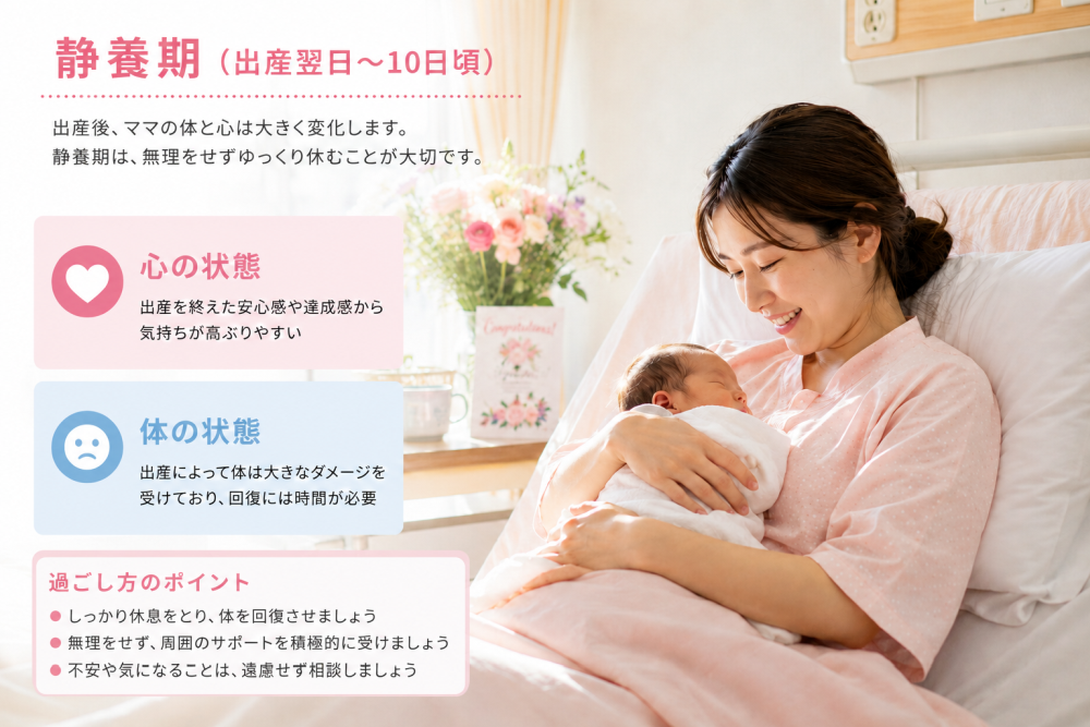 ●静養期(出産翌日から10日頃)出産後ママの体と心は大きく変化します。静養期は無理をせずゆっくり休むことが大切です。・心の状態出産を終えた安心感や達成感から気持ちが高ぶりやすい・体の状態 出産によって体は大きなダメージを受けており、回復には時間が必要※過ごし方のポイント ・しっかり休息を取り体を回復させましょう・無理をせず、周囲のサポートを積極的に受けましょう・不安や気になることは遠慮せず相談しましょう
