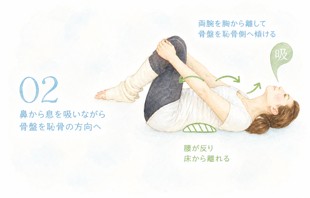 02：鼻から息を吸いながら骨盤を恥骨の方へ・両腕を胸から離して骨盤を恥骨側へ傾ける・腰が反り床から離れる