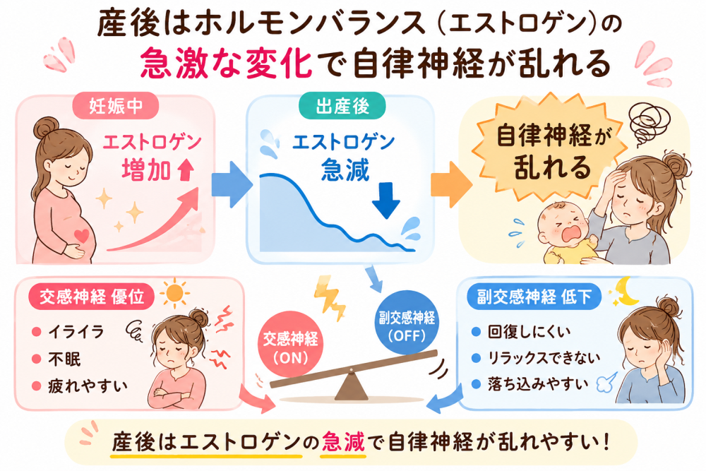 産後はホルモンバランス（エストロゲン）の急激な変化で自律神経が乱れる●妊娠中・エストロゲン増加 ●出産後・エストロゲン急減 ➡自律神経が乱れる・交感神経優位➡・イライラ・不眠・疲れやすい・副交感神経 低下➡ 回復しにくい・リラックスできない・落ち込みやすい ※産後はエストロゲンの急減で自律神経が乱れやすい 