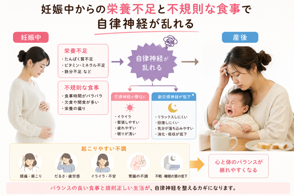 妊娠中からの栄養不足と不規則な食事で自律神経が乱れる● 妊娠中は■栄養不足・タンパク質 不足・ビタミンミネラル不足・鉄分不足など■不規則な食事・時間がバラバラ・欠食や間食が多い・栄養の偏り→神経が乱れる● 交感神経が優位に・イライラ・緊張しやすい・疲れやすい・眠りが浅い●交感神経が低下・リラックスしにくい・回復しにくい・気分が落ち込みやすい・消化吸収が低下●産後のおこりやすい不調・腰痛、肩こり・だるさ、疲労感・イライラ、不安・胃腸の不調・不眠、睡眠の質の低下→心と体のバランスが崩れやすくなるバランスの良い食事と規則正しい生活が自律神経を整えるカギになります