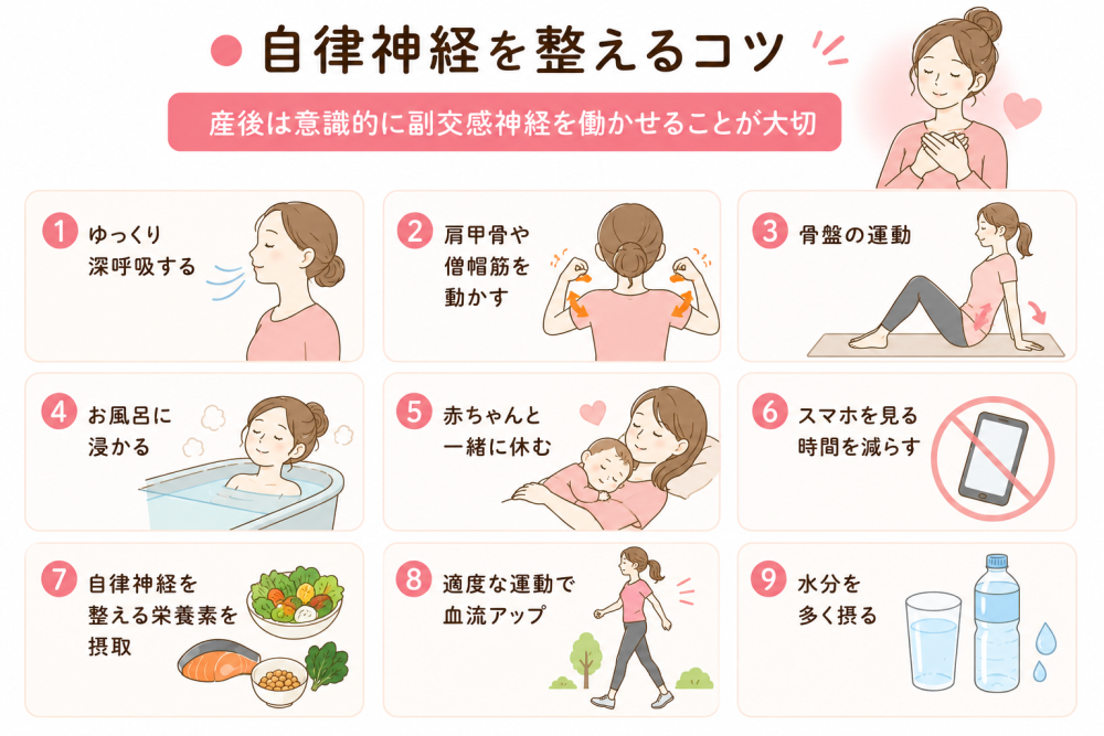 ●自律神経を整えるコツ産後は意識的に副交感神経を働かせることが大切①ゆっくり呼吸をする②肩甲骨や僧帽筋を動かす③骨盤の運動を④お風呂に浸かる⑤赤ちゃんと一緒に休む⑥スマホを見る時間を減らす⑦自律神経を整える栄養素を摂取⑧適度な運動で血流アップ⑨水分を多く取る