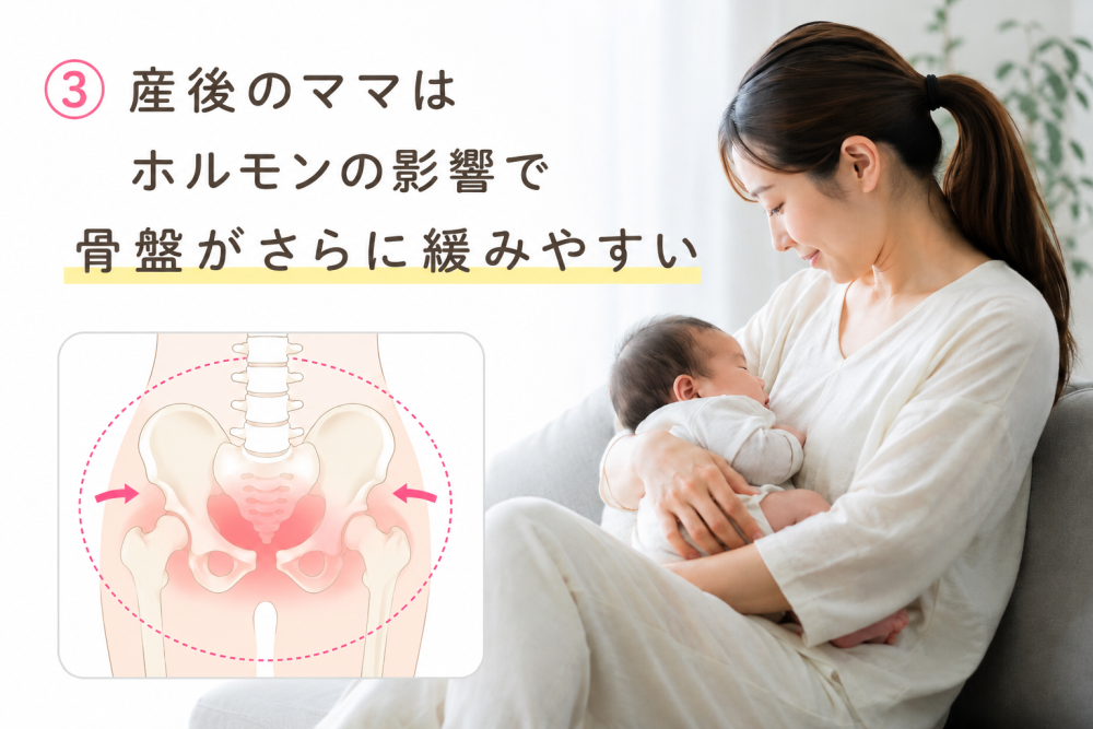 ③産後ママはホルモンの影響で骨盤がさらに緩みやすい