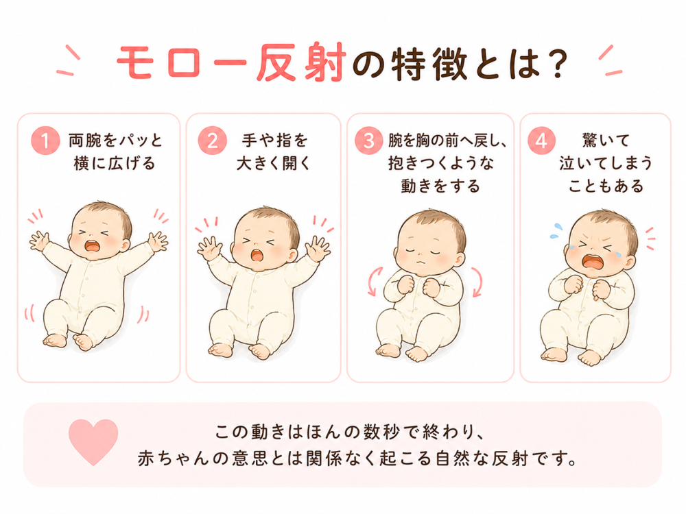 モロー反射の特徴とは？ 
①両腕をパッと横に広げる
②手や指を大きく開く
③腕を胸の前へ戻し、抱きつくような動きをする
④驚いて泣いてしまうこともある
この動きはほんの数秒で終わり、赤ちゃんの意思とは関係なく起こる自然な反射です。