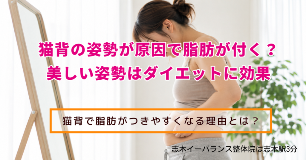 瀬古是の姿勢が原因で脂肪が付く？ 美しい姿勢はダイエットに効果 猫背でしぼうがつきやすくなる理由とは？ 志木イーバランス整体院は志木駅３分