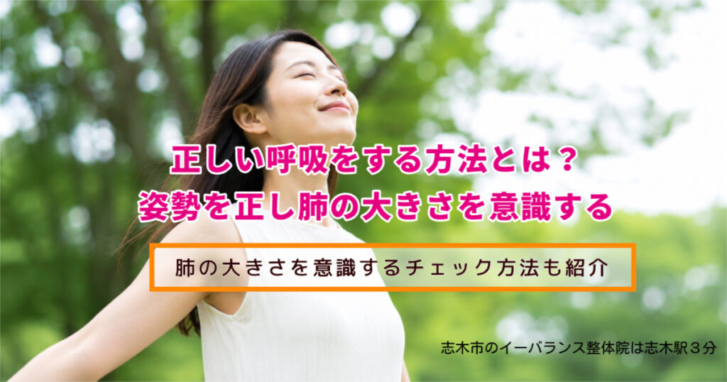 正しい呼吸をする方法とは?姿勢を正し肺の多きさを意識する 肺の大きさを意識するチェック方法も紹介 志木のイーバランス整体院は志木駅3分