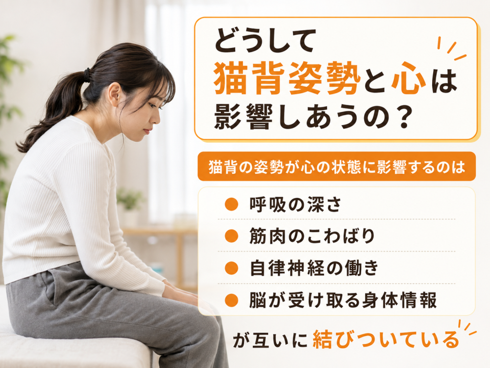 どうして猫背姿勢と心は影響しあうの? 猫背の姿勢が心の状態に影響するのは・呼吸の深さ・筋肉のこわばり・自律神経の働き・脳が受け取る身体情報が互いに結びついている