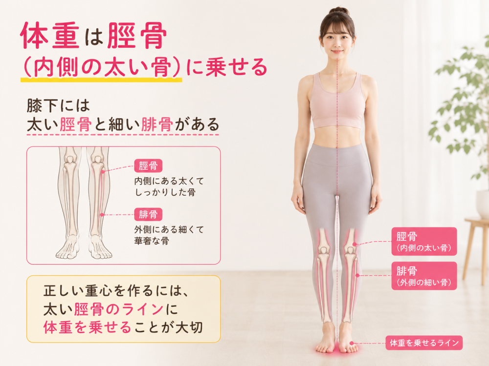 体重は脛骨(内側の太い骨)に乗せる膝下には太い脛骨と細い腓骨がある・脛骨-内側にある太くてしっかりとした骨・腓骨-外側にある細くて華奢な骨正しい重心を作るには、太い脛骨のラインに体重を乗せることが大切