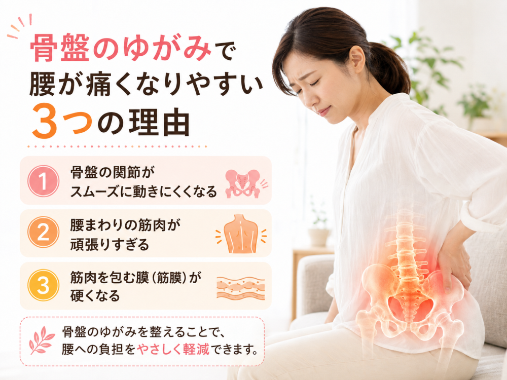骨盤のゆがみで腰が痛くなりやすい3つの理由① 骨盤の関節がスムーズに動きにくくなる② 腰まわりの筋肉が頑張りすぎる③ 筋肉を包む膜（筋膜）が硬くなる骨盤のゆがみを整えることで、腰への負担をやさしく軽減できます。