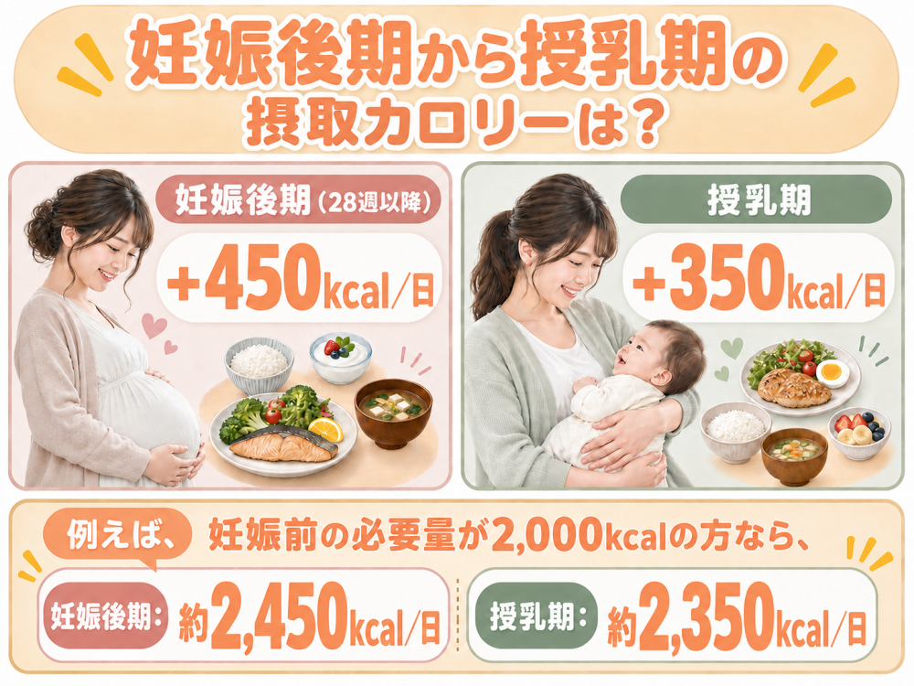 妊娠後期から授乳期の摂取カロリーは？・妊娠後期（28週以降）：＋450kcal／日 ・授乳期：＋350kcal／日 例えば、妊娠前の必要量が2,000kcalの方なら、 ・妊娠後期：約2,450kcal／日 ・授乳期：約2,350kcal／日