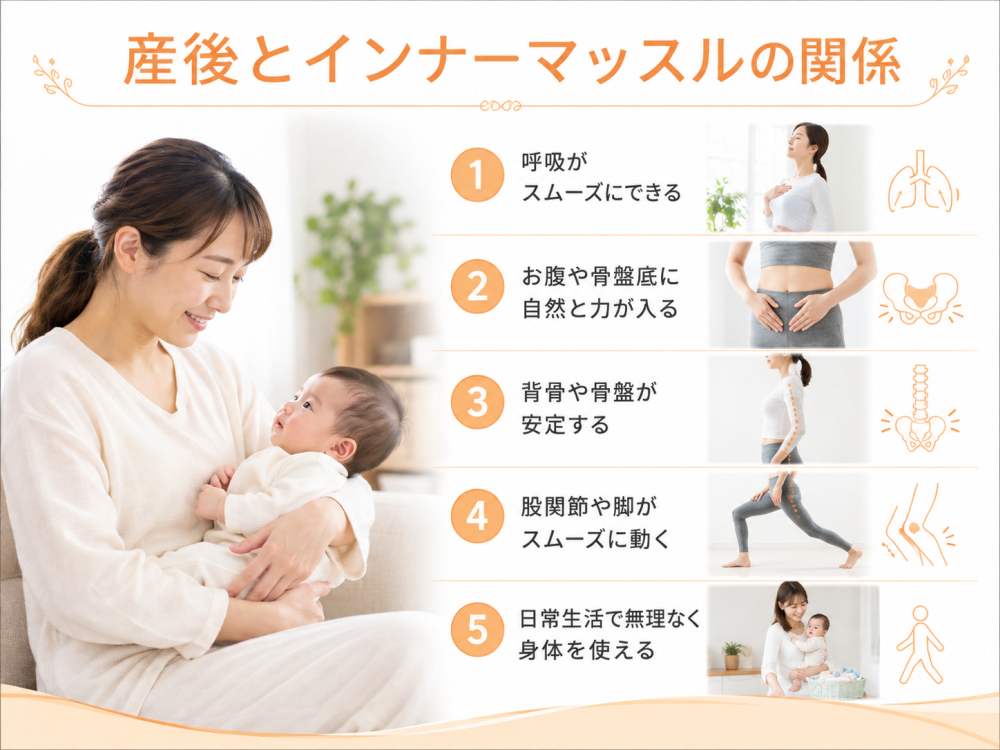 産後とインナーマッスルの関係

・呼吸がスムーズにできる

・お腹や骨盤底に自然と力が入る

・背骨や骨盤が安定する

・股関節や脚がスムーズに動く

・日常生活で無理なく身体を使える
