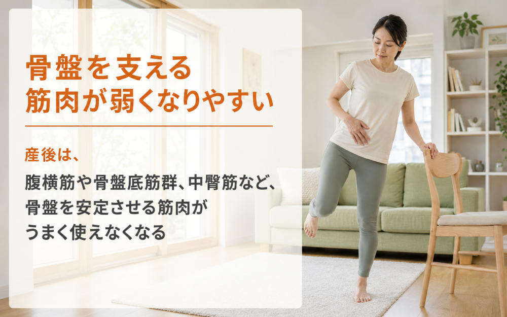 骨盤を支える筋肉が弱くなりやすい産後は、腹横筋や骨盤底筋群、中臀筋など、骨盤を安定させる筋肉がうまく使えなくなる