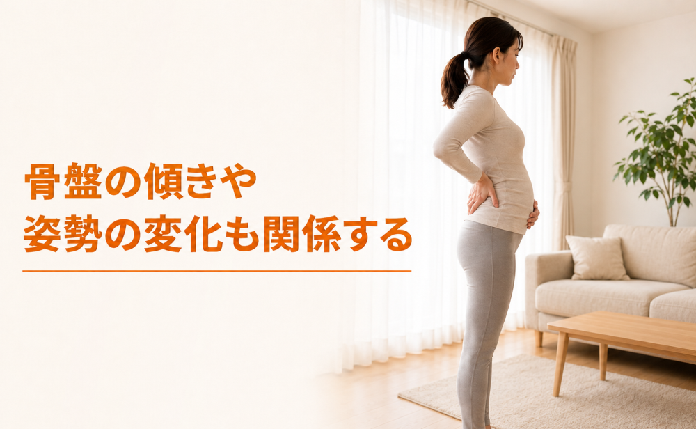 骨盤の傾きや姿勢の変化も関係する
