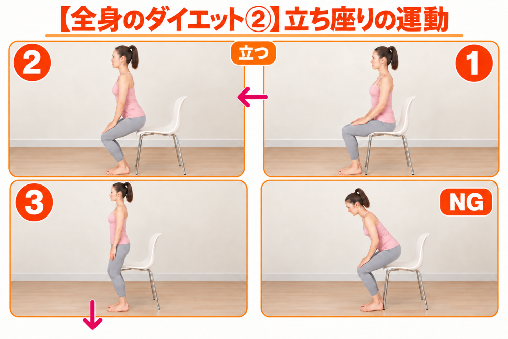 【全身太り②】たち座りの運動立つ