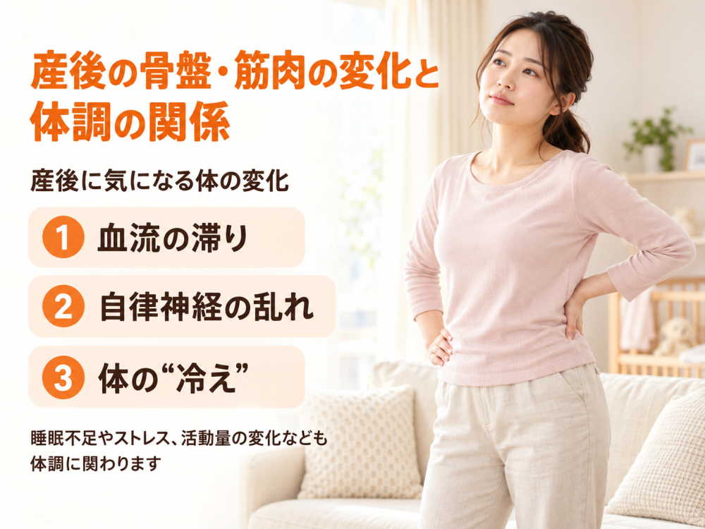 産後の骨盤、筋肉の変化が免疫力に影響する①. 血流が滞りやすくなる②. 自律神経が乱れやすくなる③. 体の“冷え”を招きやすい