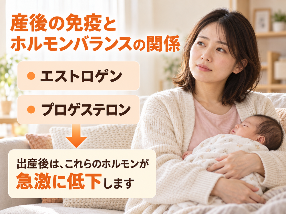 産後の免疫とホルモンバランスの関係・エストロゲン・プロゲステロン出産後はこれらのホルモンが急激に低下します