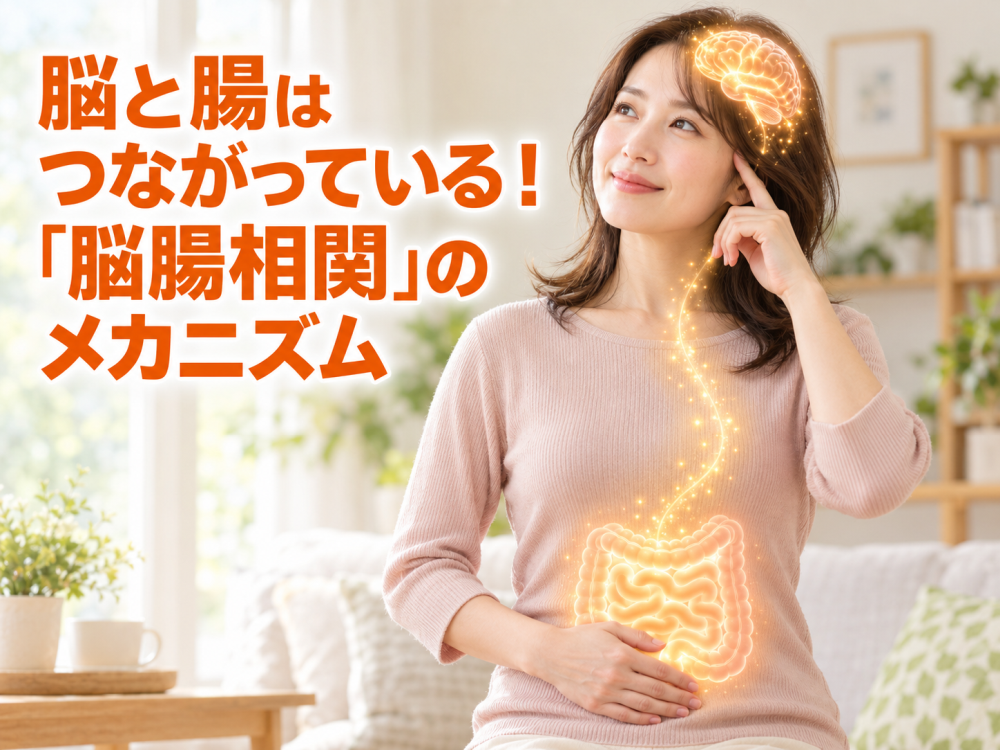脳と腸はつながっている！「脳腸相関」のメカニズム