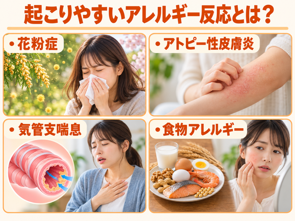 起こりやすいアレルギー反応とは？

・花粉症
・アトピー性皮膚炎
・気管支喘息
・食物アレルギー