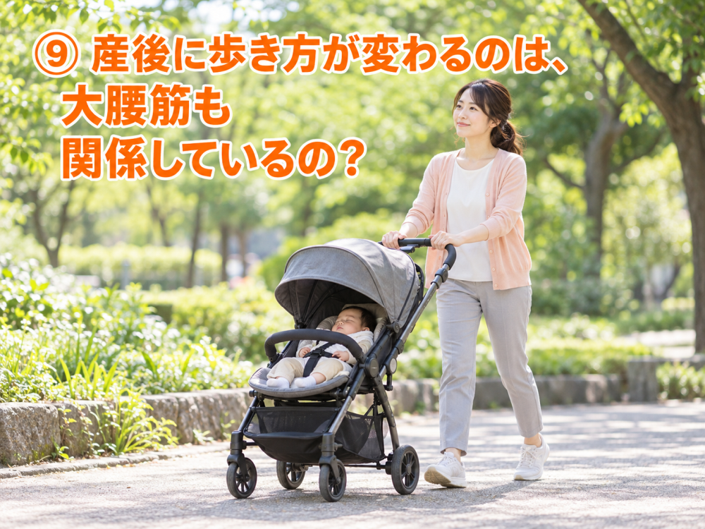 ⑨ 産後に歩き方が変わるのは、大腰筋も関係しているの？