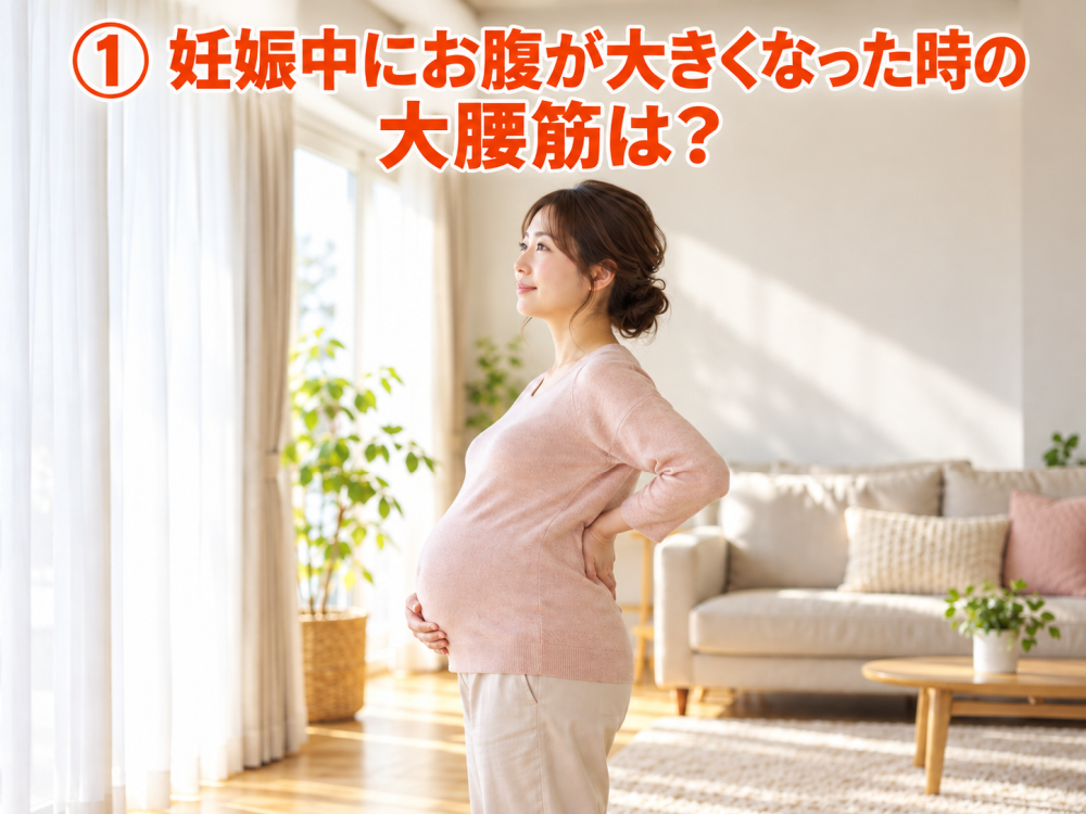 ① 妊娠中にお腹が大きくなった時の大腰筋は？