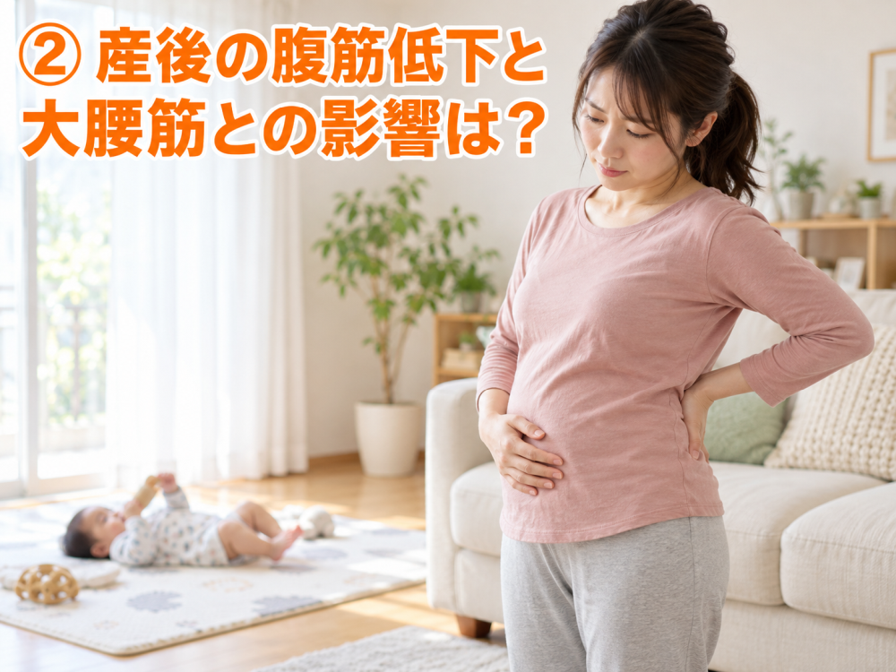 ② 産後の腹筋低下と大腰筋との影響は？