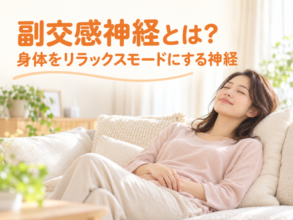 副交感神経とは?身体をリラックスモードにする神経