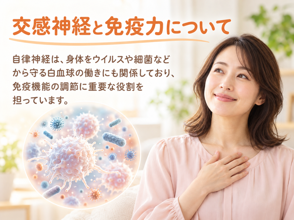 交感神経と免疫力について自律神経は、身体をウイルスや細菌などから守る白血球の働きにも関係しており、免疫機能の調節に重要な役割