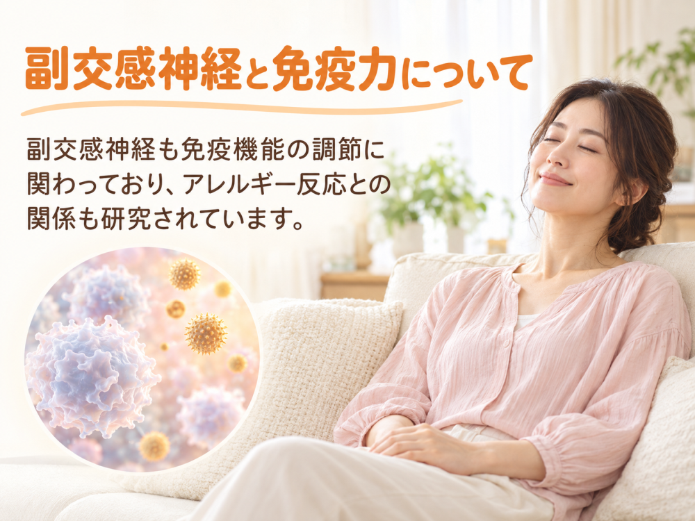 副交感神経と免疫力について副交感神経も免疫機能の調節に関わっており、アレルギー反応との関係も研究されています。